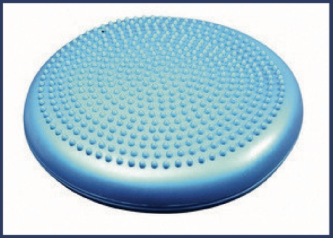 Stability Disc — Scanda Enterprises, medical supplies Moosapet Hyderabad